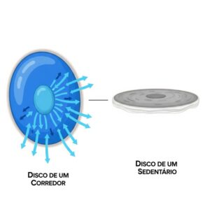 Corrida Faz Mal Para a Coluna Corrida Faz Mal Para a Coluna